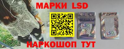 крисы Краснодар