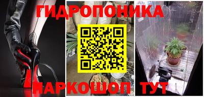 крисы Краснодар