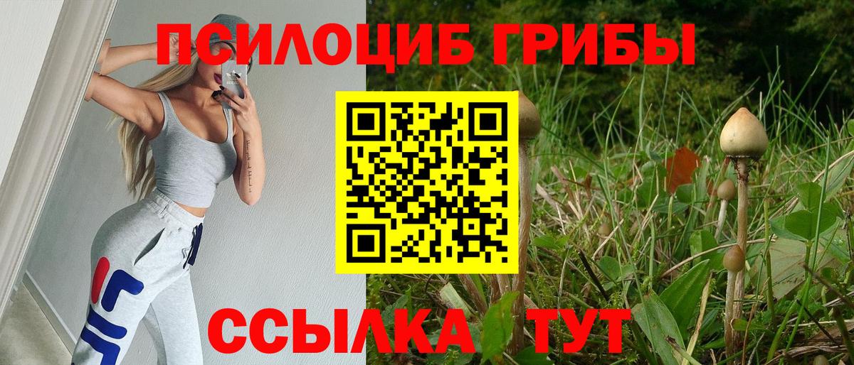 Псилоцибиновые грибы Psilocybine cubensis  Вход с VPN  Энгельс 